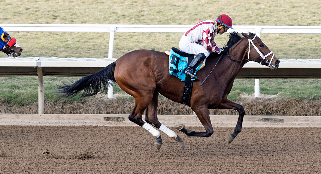Empire Gal wins a Nov. 20 maiden race at Del Mar