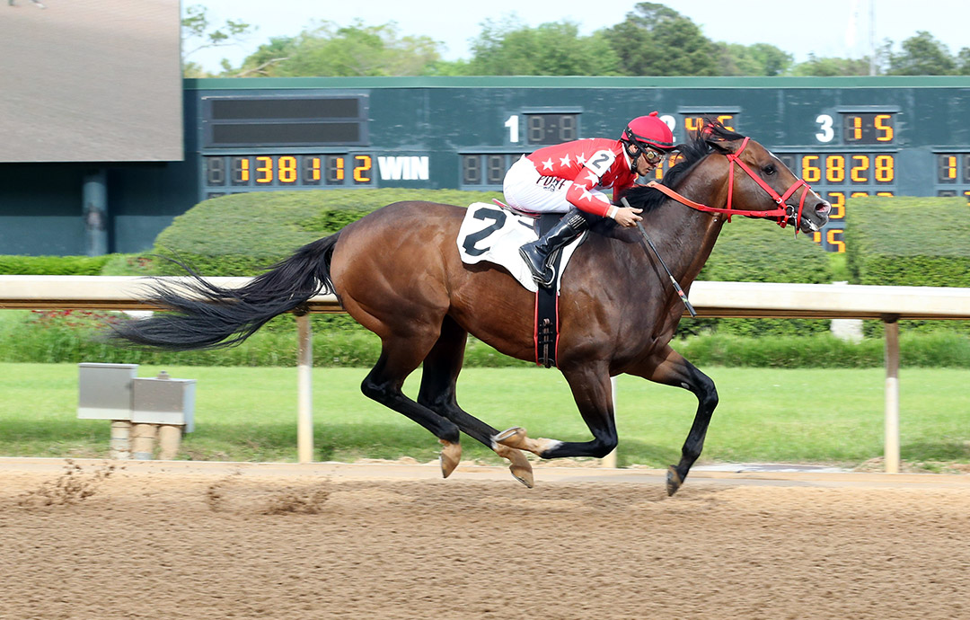 Empire of Gold wins an April 30 allowance at Oaklawn Park