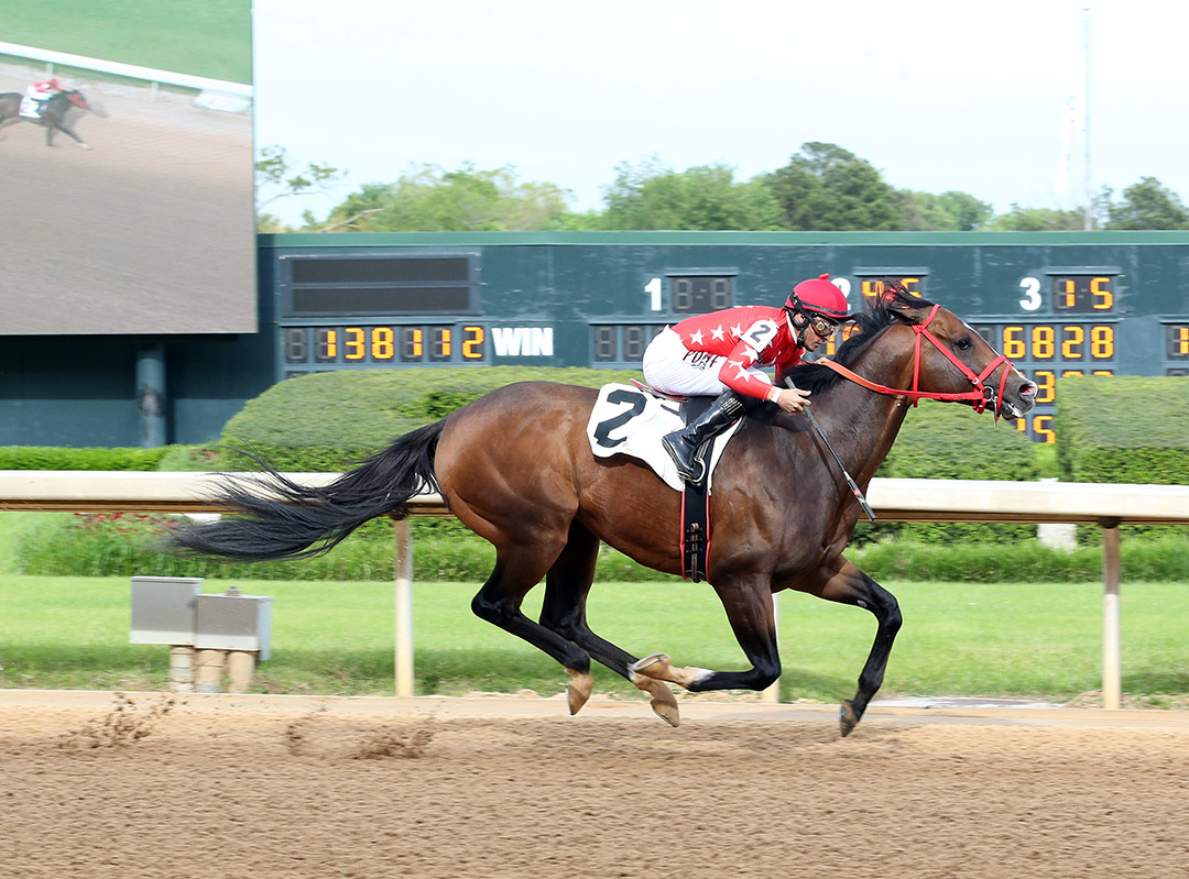 Empire of Gold wins an April 30 allowance at Oaklawn Park