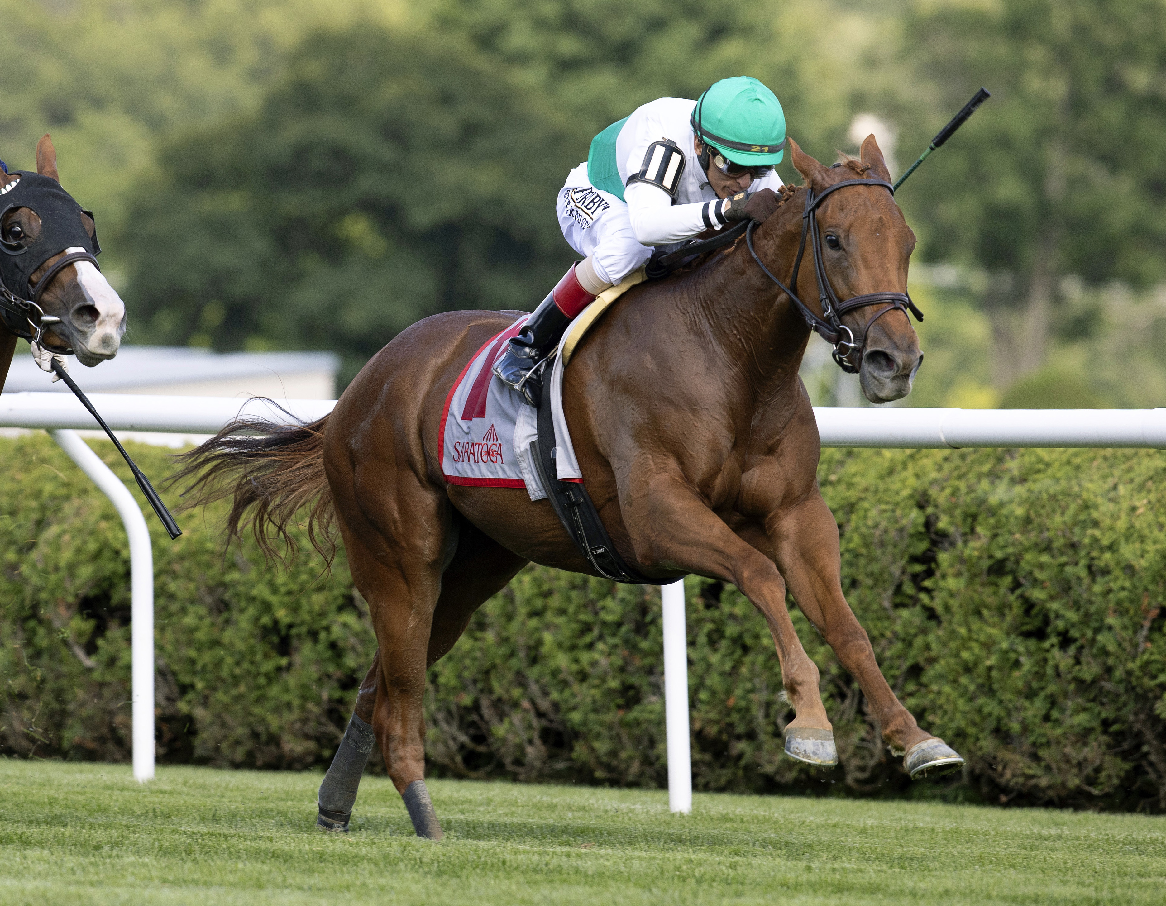 Empress Tigress wins the Coronation Cup at Saratoga on July 15 2022
