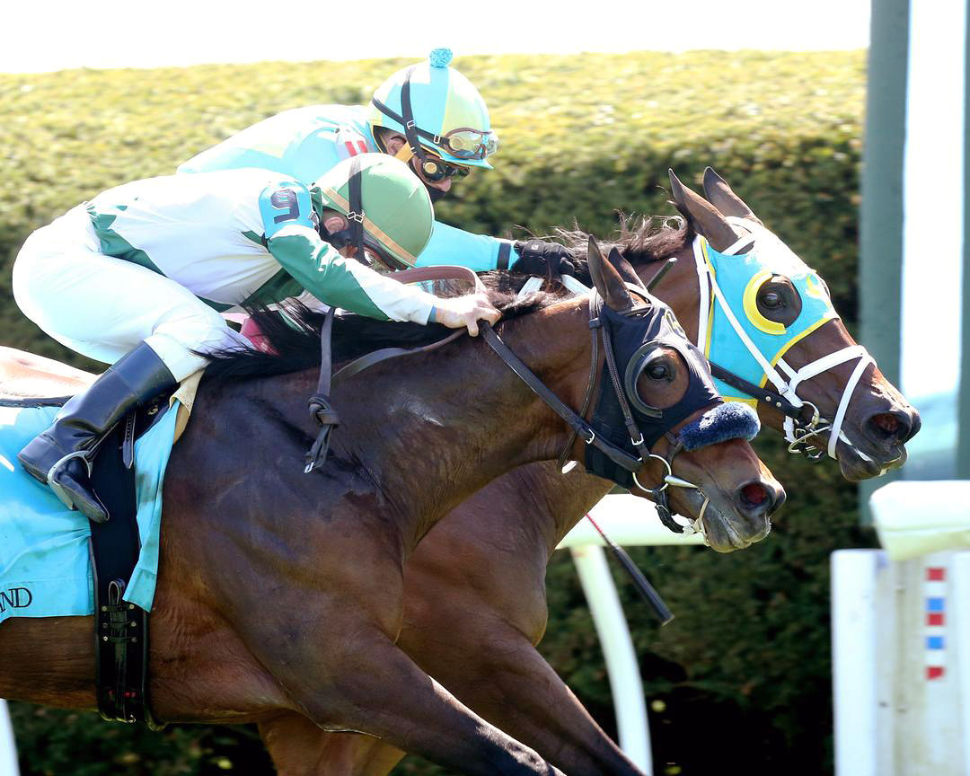 Empress Eleanor (left) and Enjoyitwhilewecan dead heat in an April 2021 allowance at Keeneland