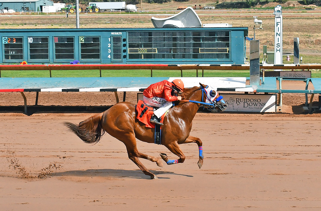 Empressum wins a May 30 race at Ruidoso Downs