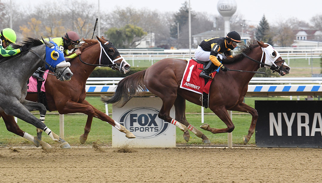 Empty Tomb wins a Nov. 28 allowance at Aqueduct