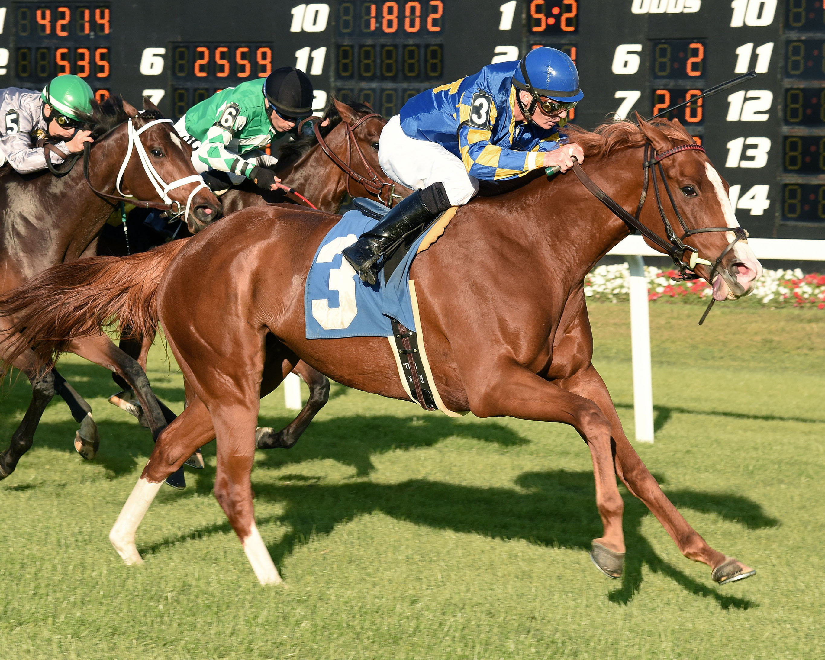 Emyvale Court wins an allowance race