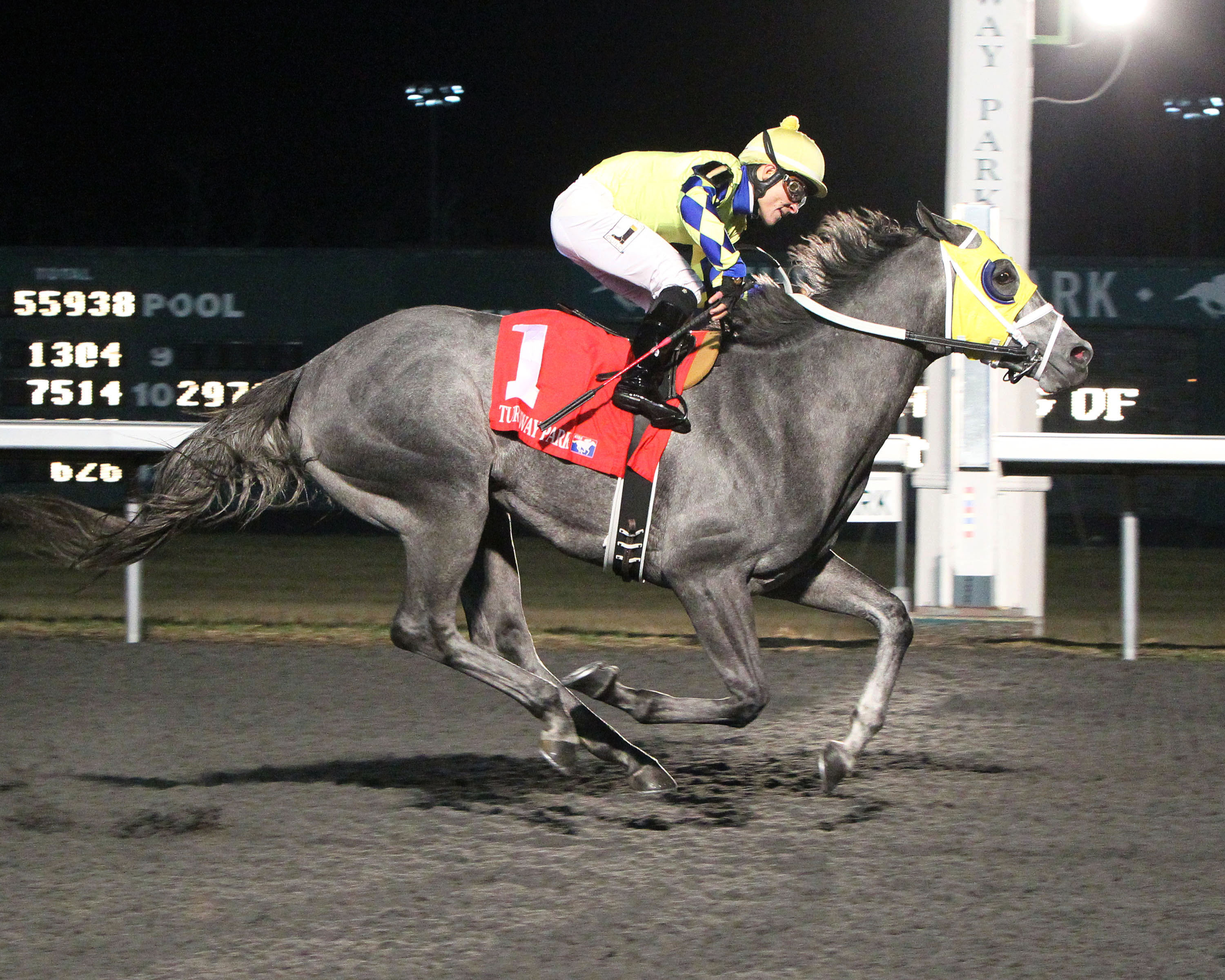 En Hanse wins the WEBN Stakes