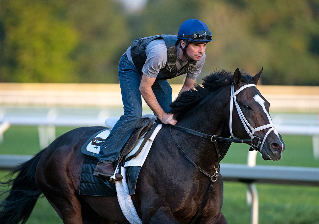 En Wye Cee trains at Saratoga Race Course on Sept. 23