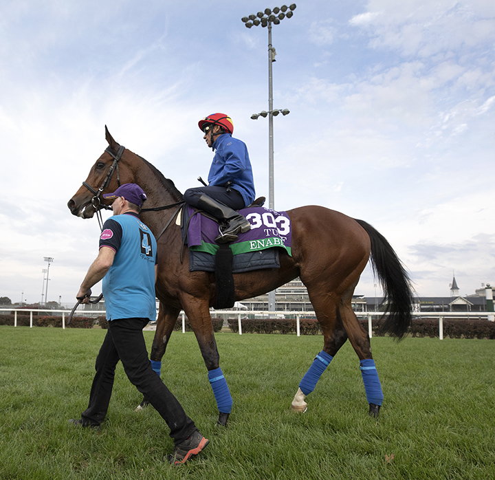 Enable at Churchill on Oct. 31