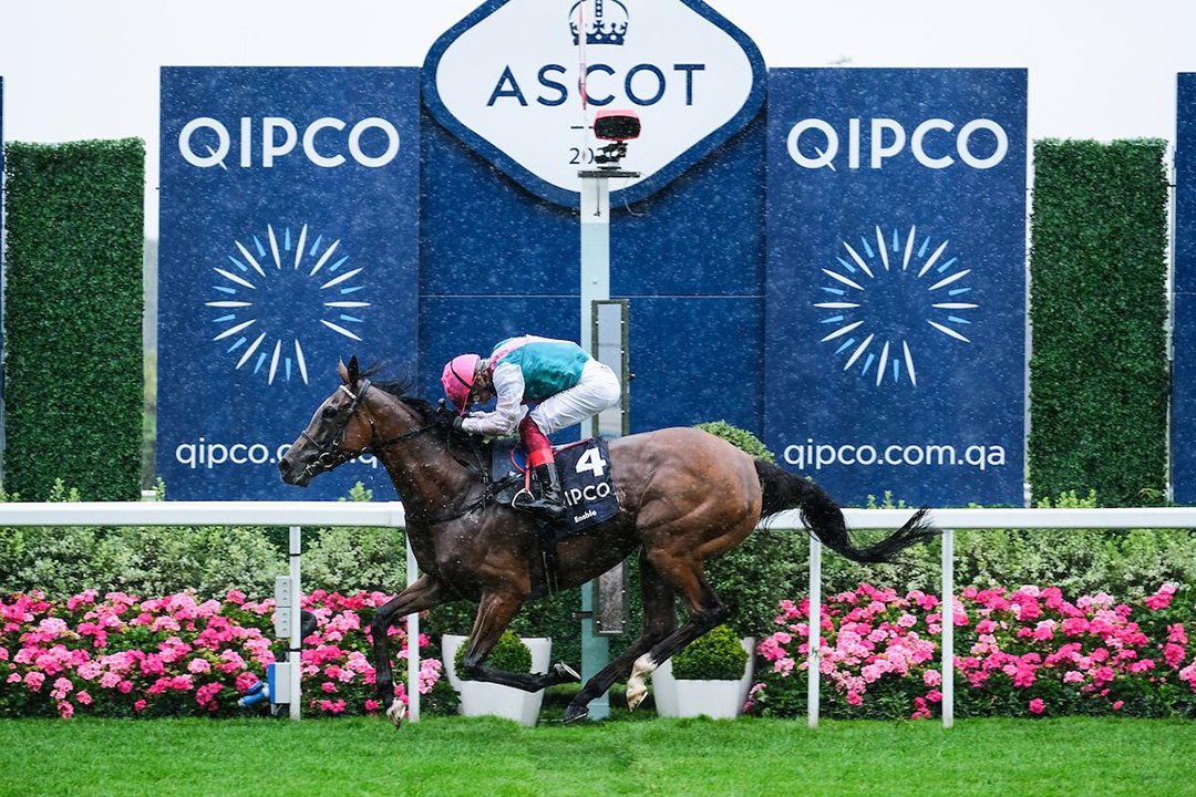 Enable wins the 2020 King George VI & Queen Elizabeth QIPCO Stakes at Ascot Racecourse