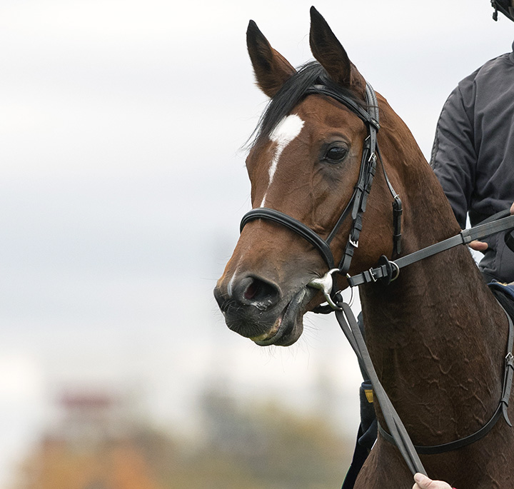 Enable at Churchill Downs on Oct. 30