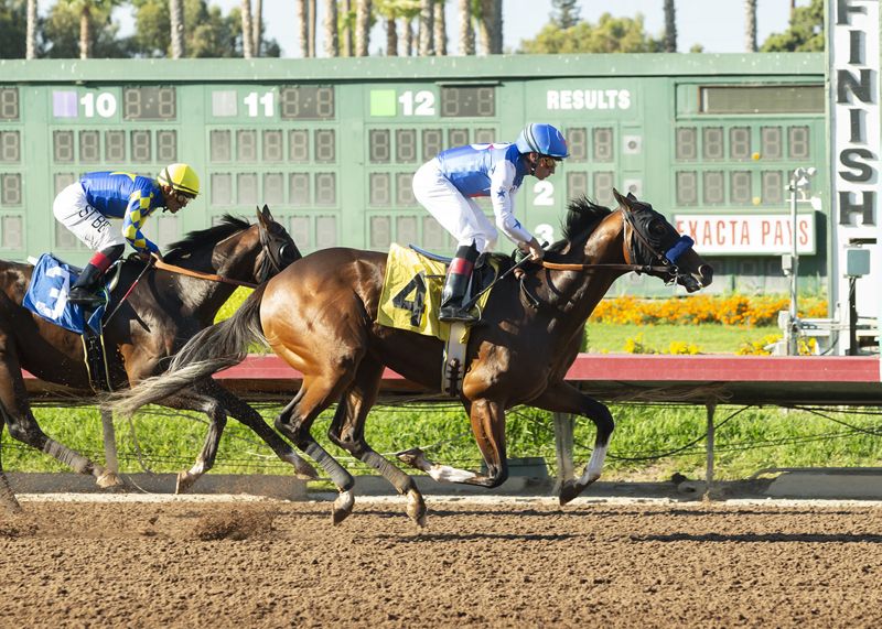 Enbarr/Capote Stakes