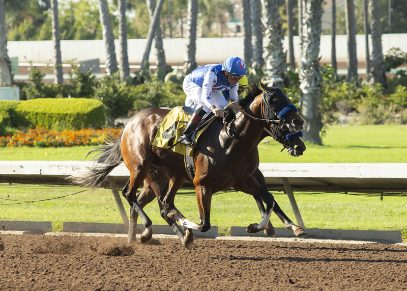 Enbarr wins the Capote Stakes 9-18-2021
