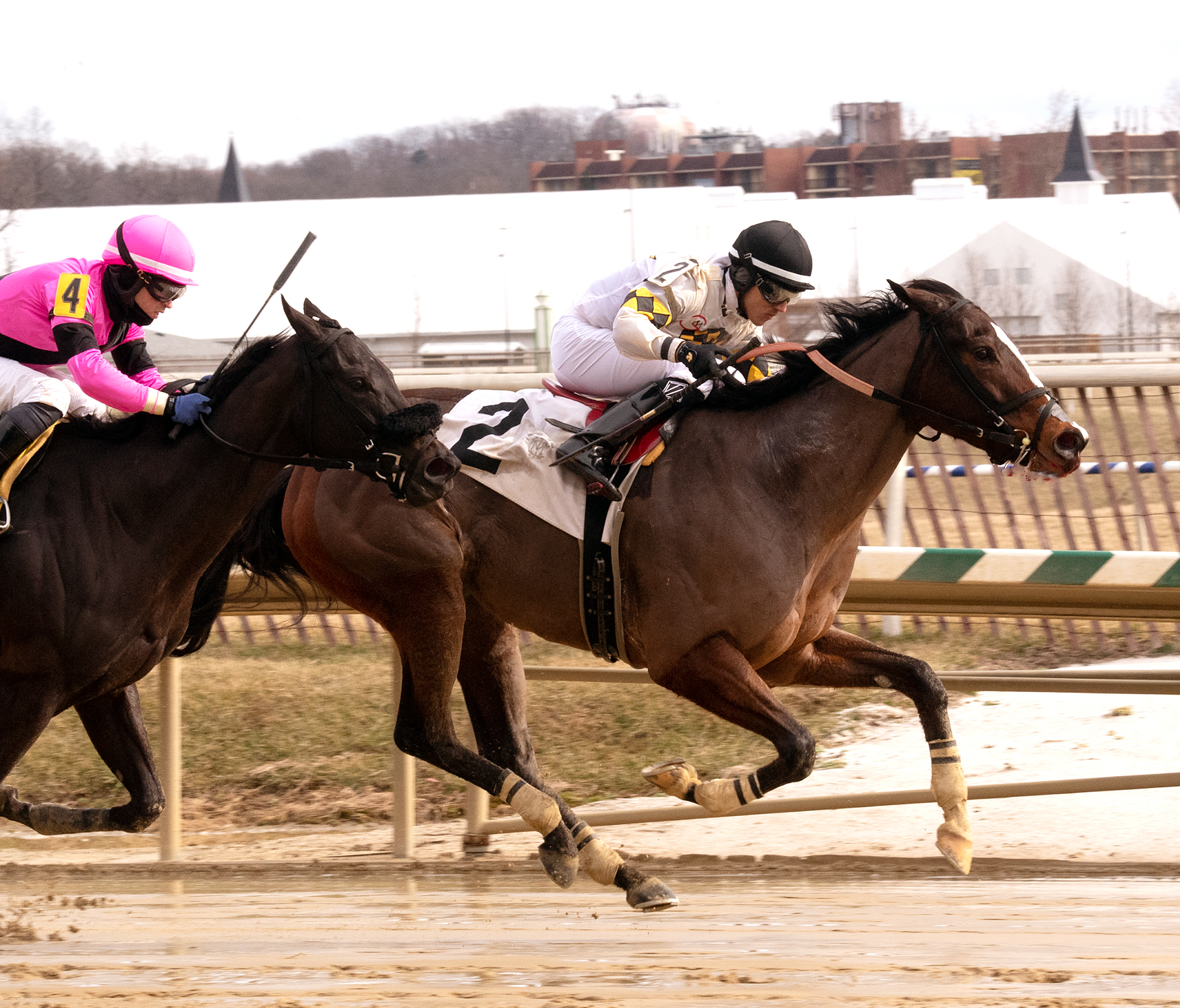 Enchanted Ghost wins 2019 Maryland Racing Media Stakes