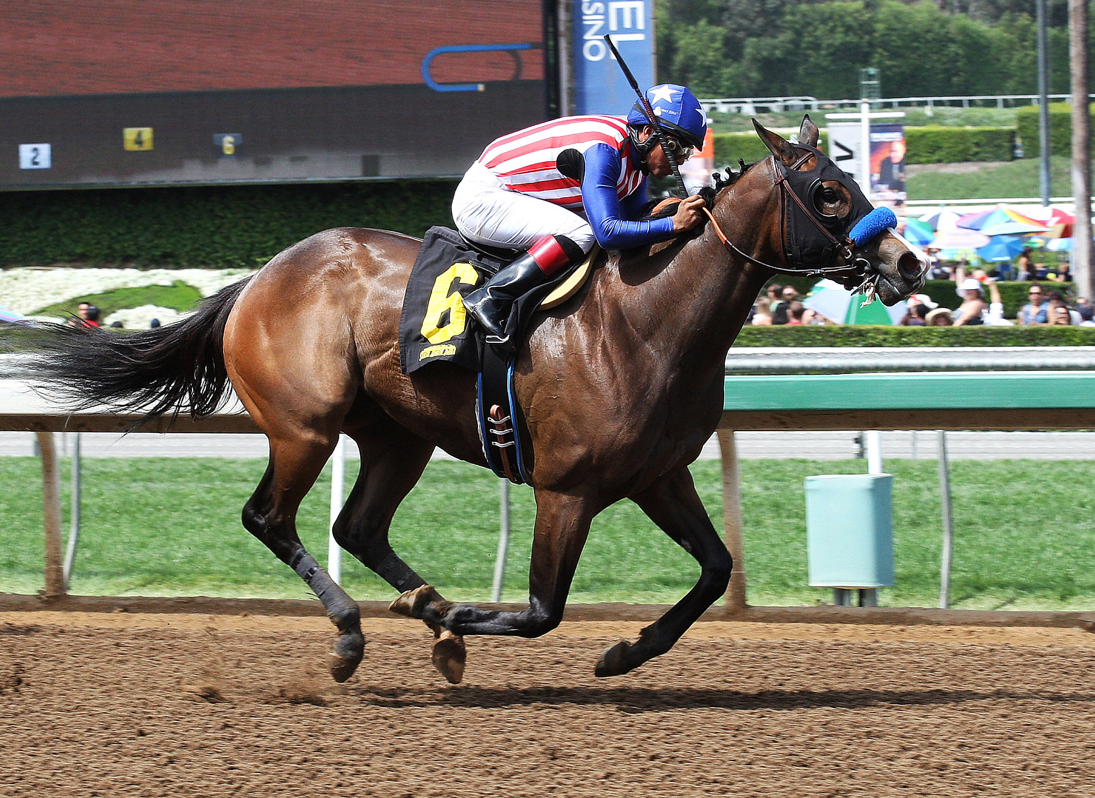 Enchanting Lady wins the Santa Paula