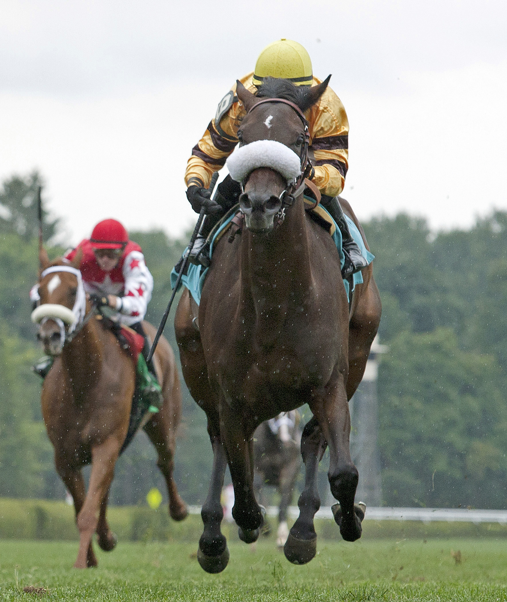 Enchanting Lisa finishes third in an allowance