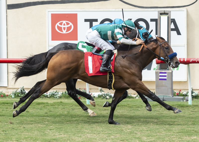 Encoder wins the 2019 Del Mar Juvenile Turf