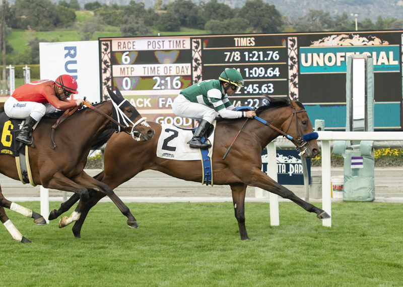 Encoder wins the 2019 Eddie Logan Stakes