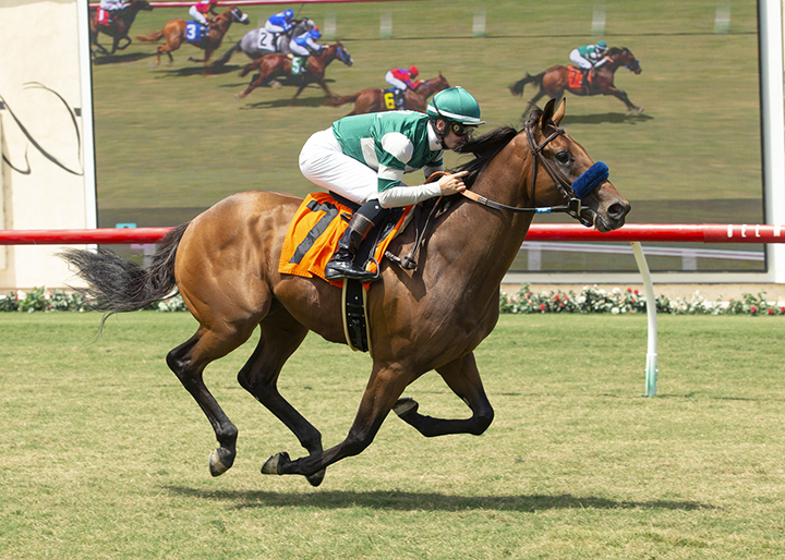 Encoder wins an Aug. 7 maiden race at Del Mar