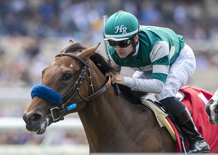 Encoder wins the Del Mar Juvenile Turf at Del Mar