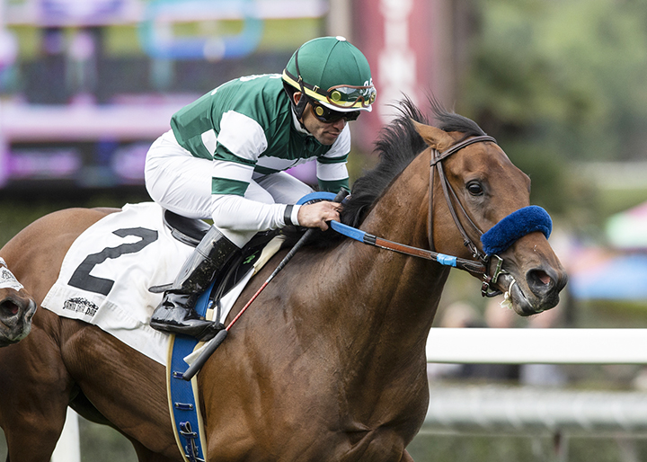 Encoder wins the 2019 Eddie Logan Stakes at Santa Anita