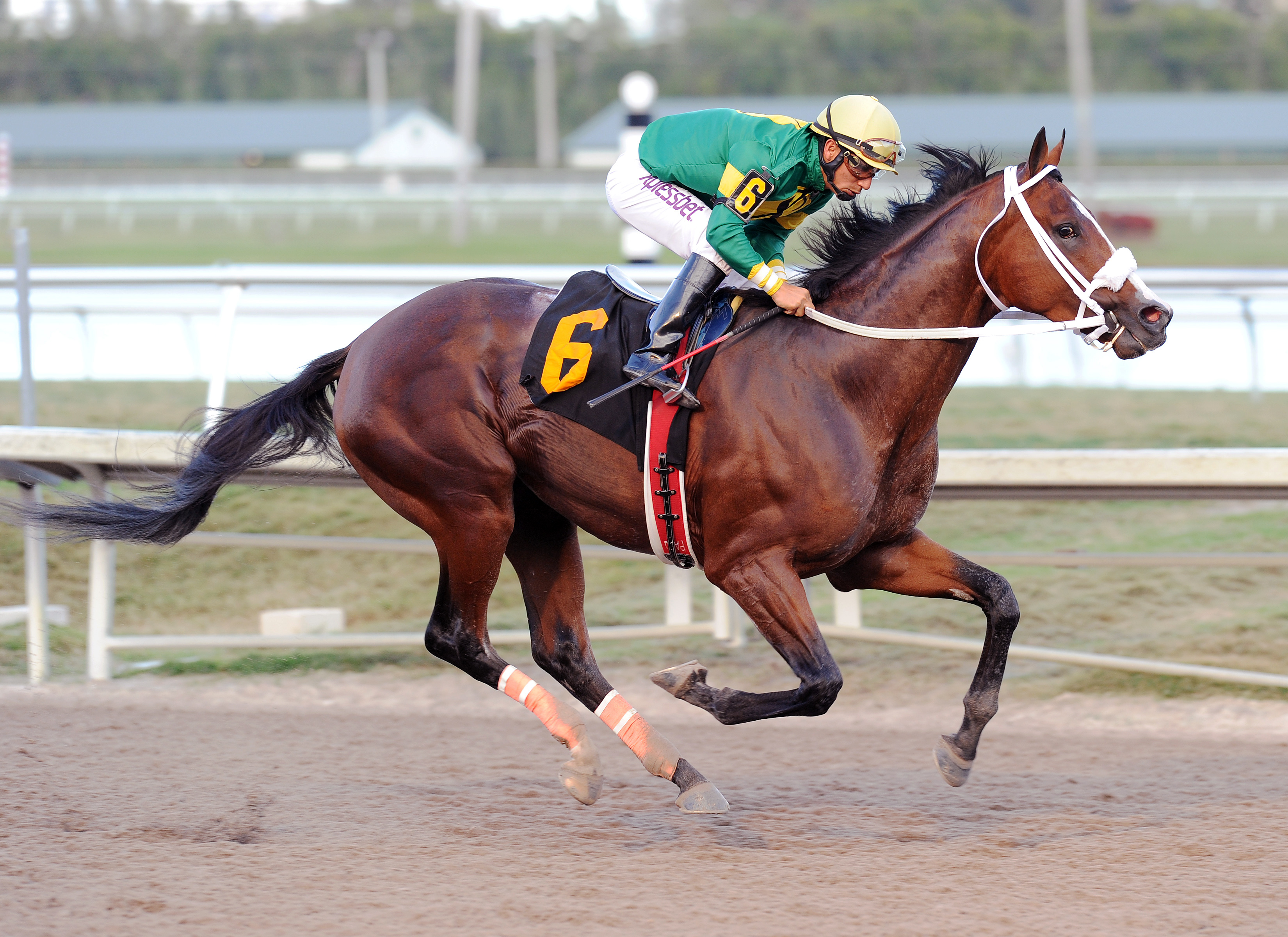 Encryption wins a claiming race at Gulfstream