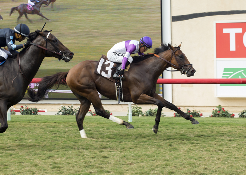 Encumbered wins the 2017 Del Mar Juvenile Turf