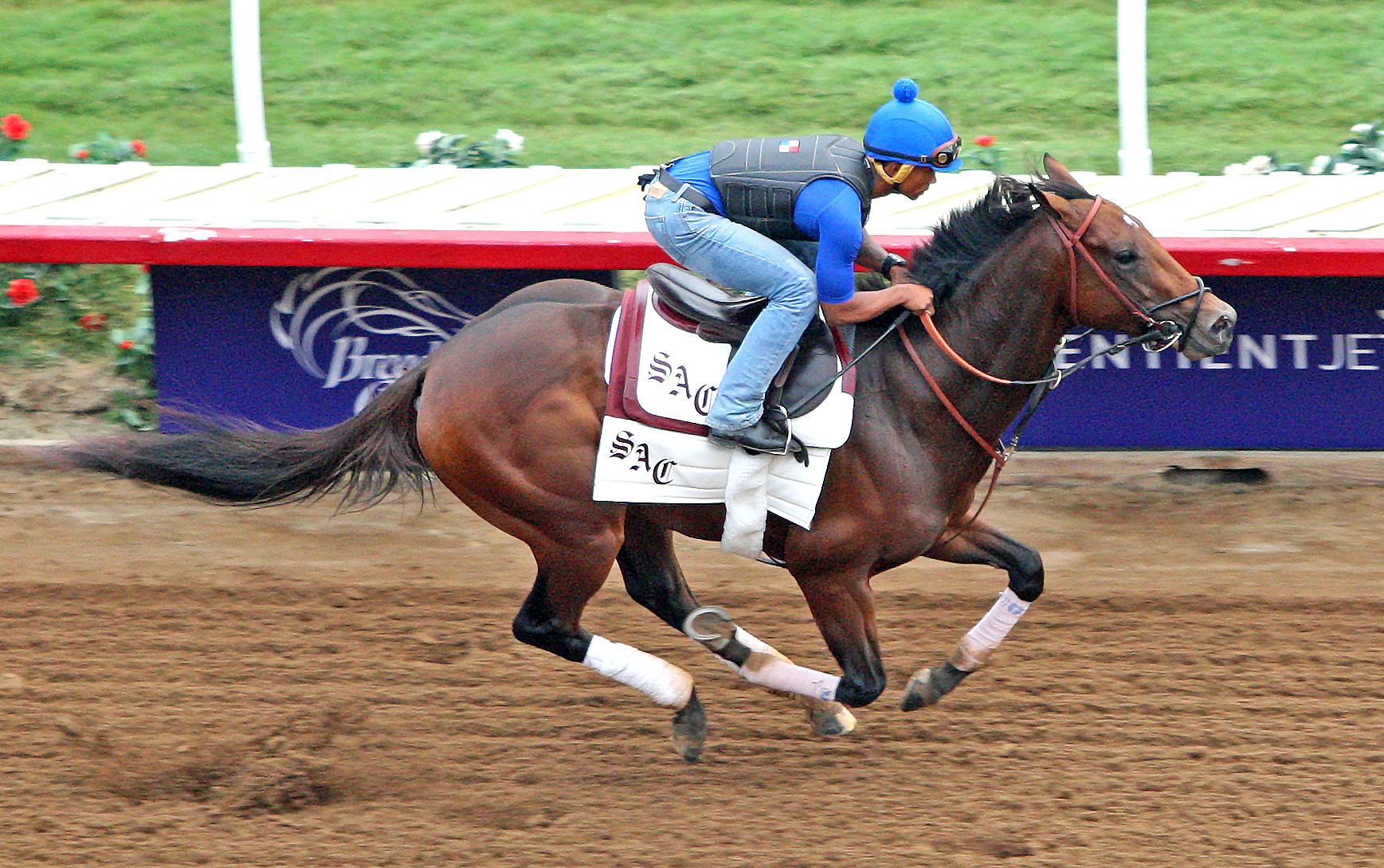 Encumbered trains at Del Mar before the Breeders Cup