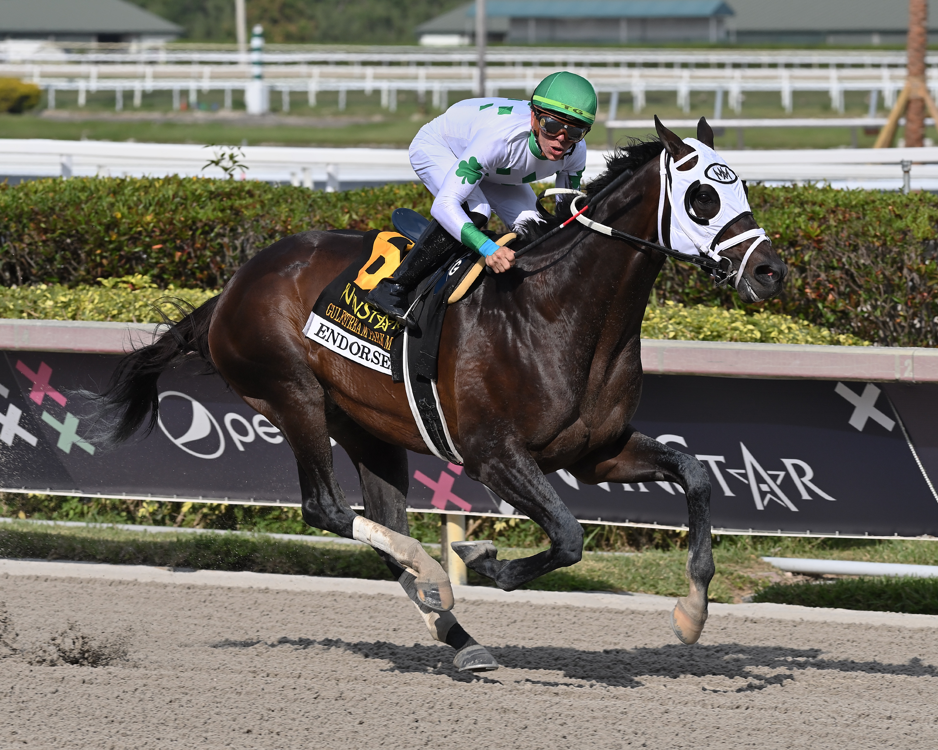 Endorsed.Tyler Gaffalione win Gulfstream Mile March 4 2023