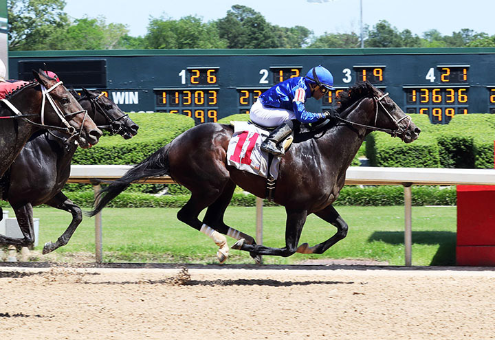 Endorsed wins a May 2 allowance at Oaklawn Park