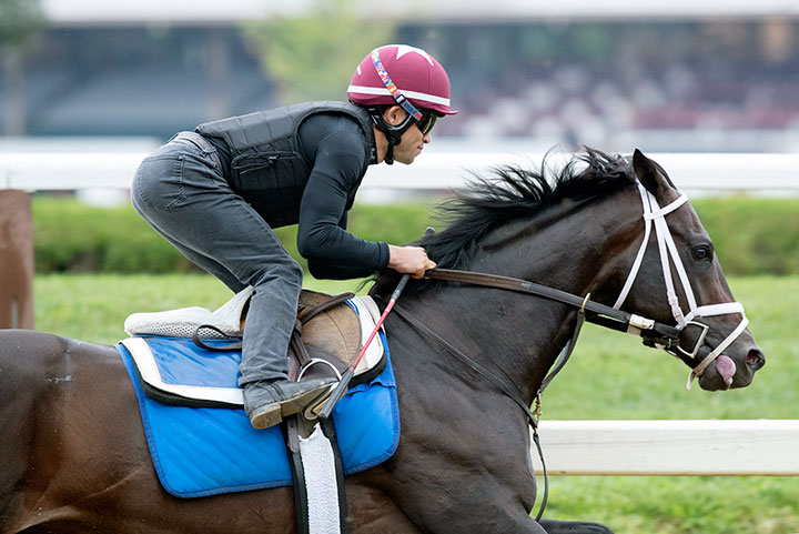 Endorsed trains at Saratoga Race Course in August 2019