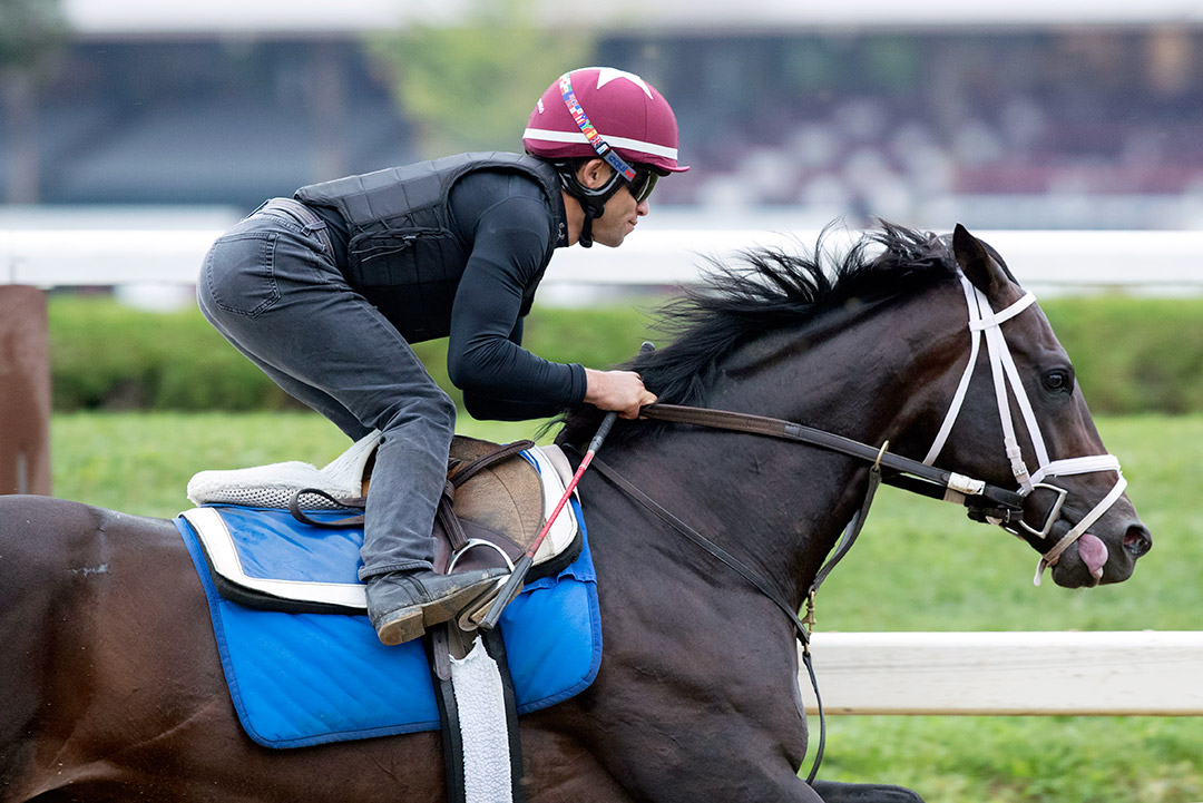 Endorsed trains at Saratoga Race Course in August 2019