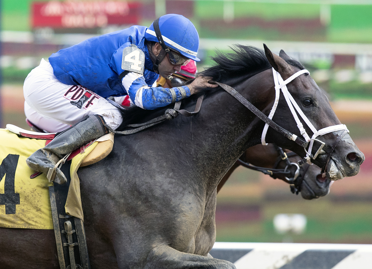 Endorsed wins an Aug. 18 maiden race