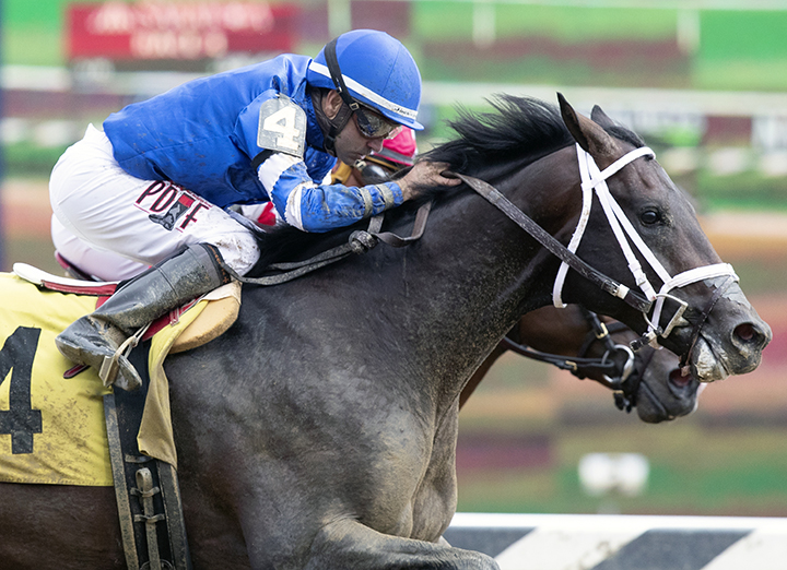 Endorsed wins an Aug. 18 maiden race