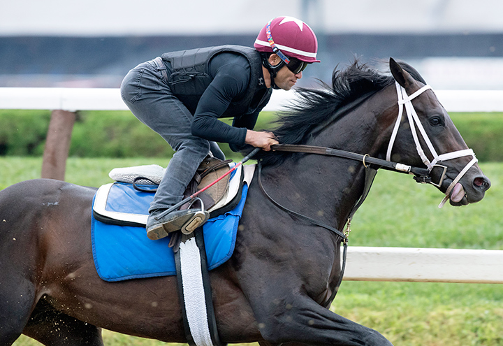 Endorsed trains at Saratoga Race Course in August 2019