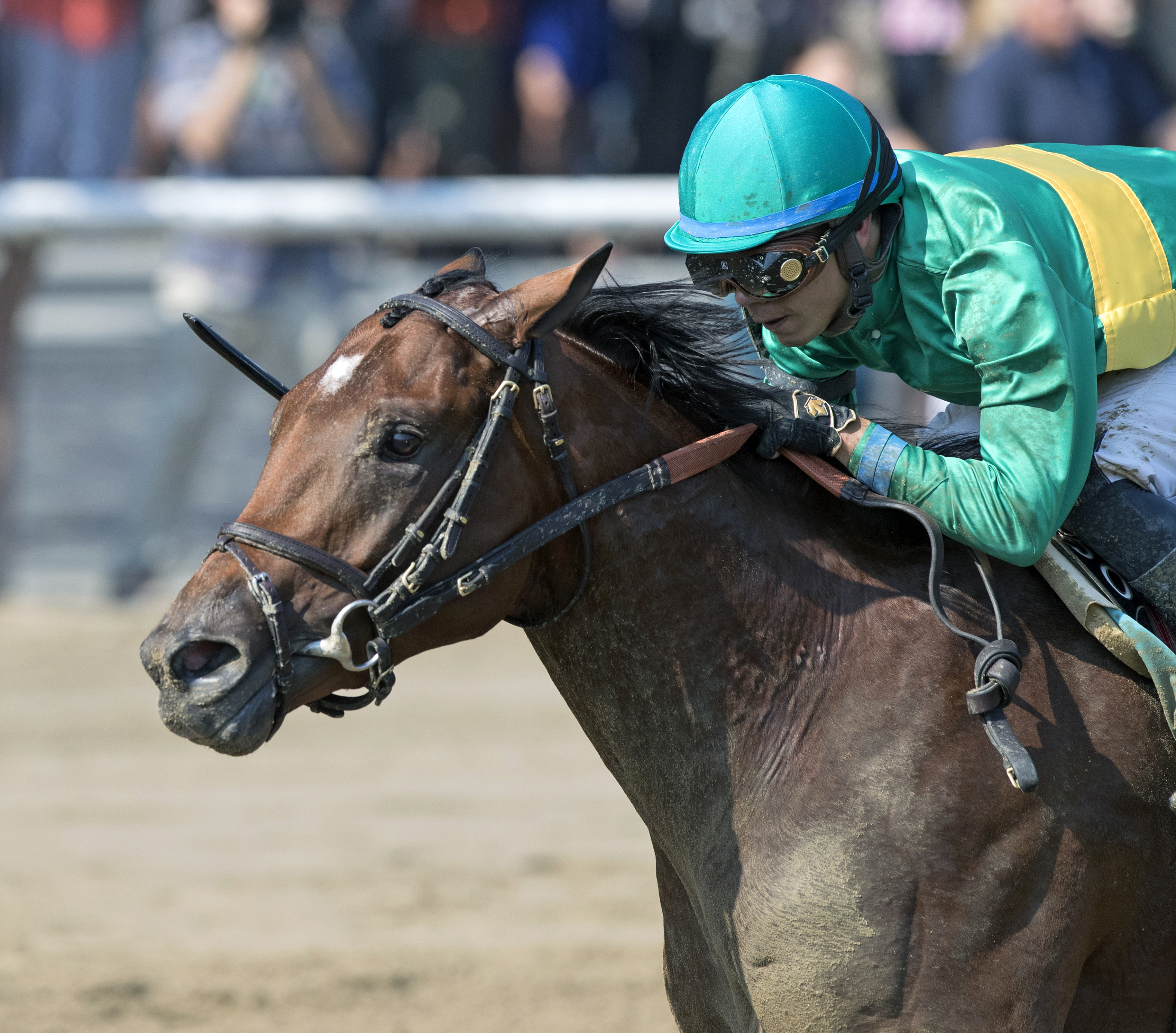 Engage wins a Sept. 4 maiden race