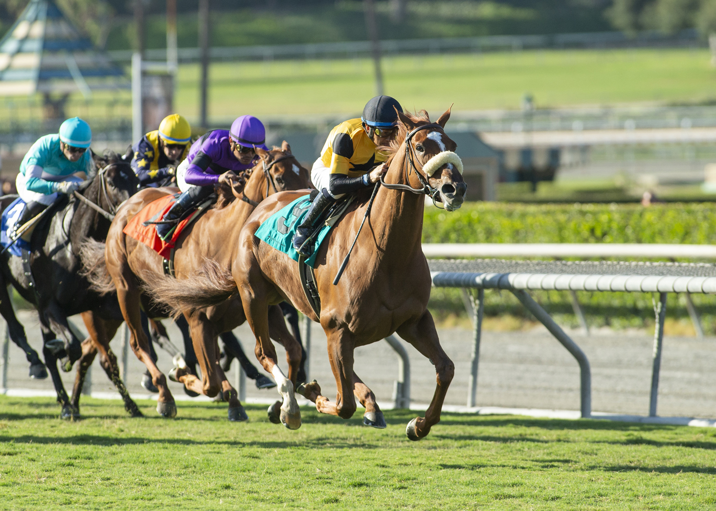 England's Rose wins the Swingtime Stakes.10-9-2021