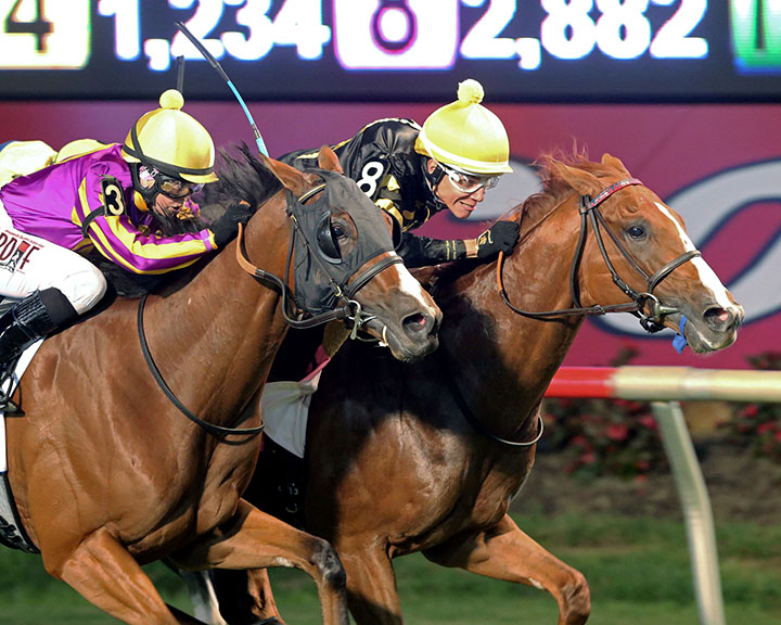 English Bee wins the 2019 Virginia Derby at Colonial Downs