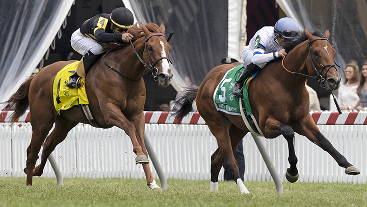 English Bee wins the 2019 James W. Murphy Stakes