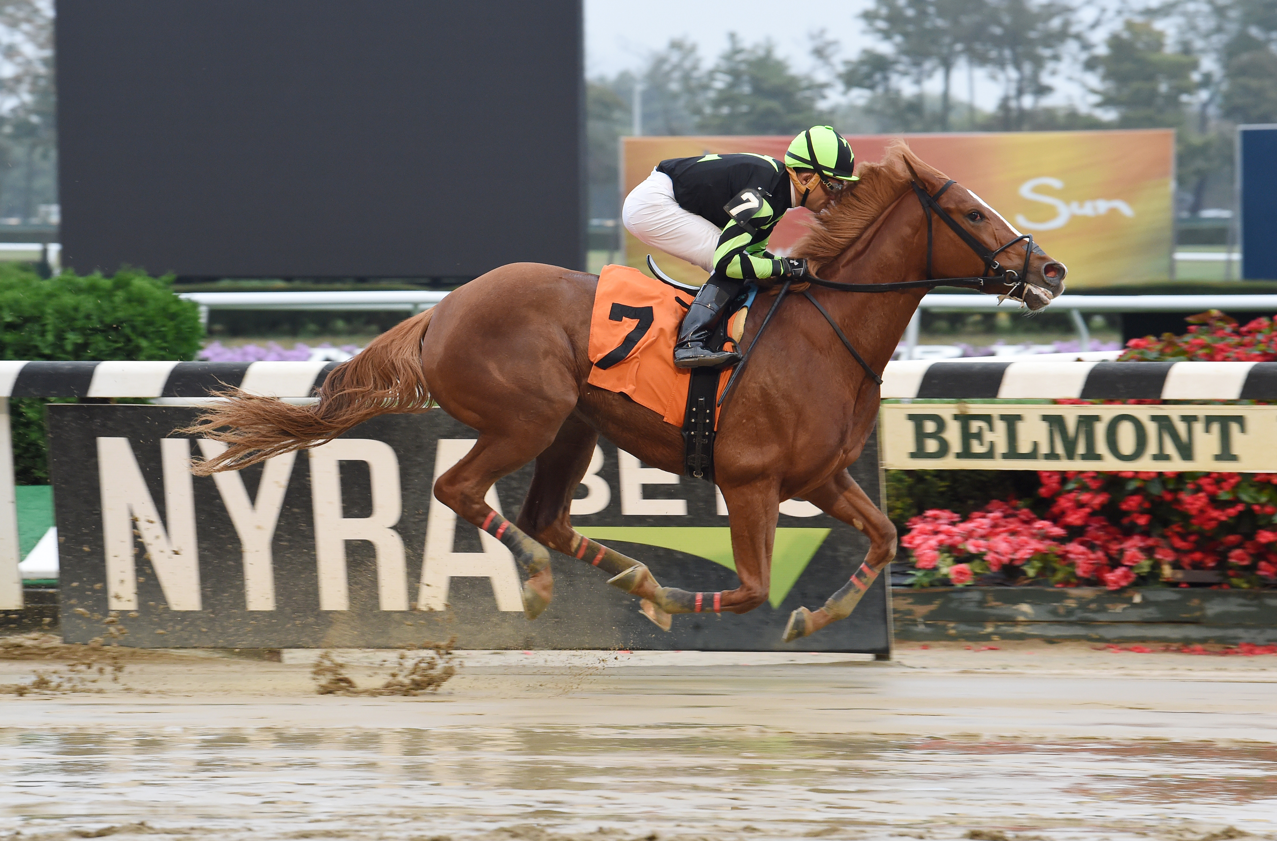 English Soul wins an Oct. 9 maiden race