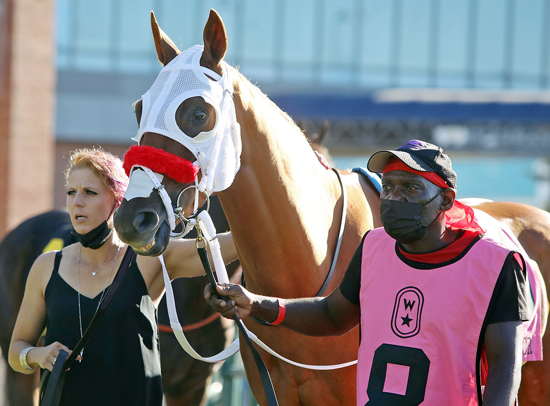 English Conqueror at Woodbine Racetrack on Sept. 18