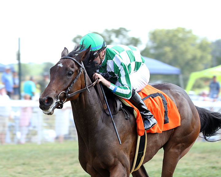 Enola Gay wins a Sept. 12 maiden race at Kentucky Downs