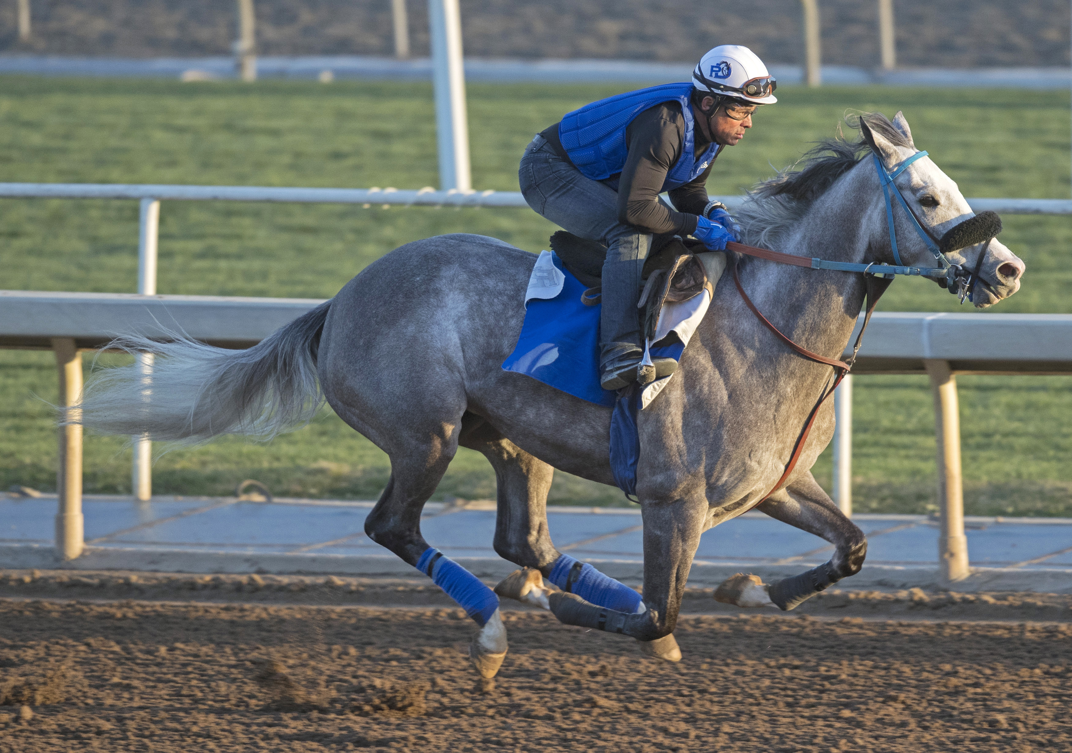 Enola Gray trains at Santa Anita on March 6