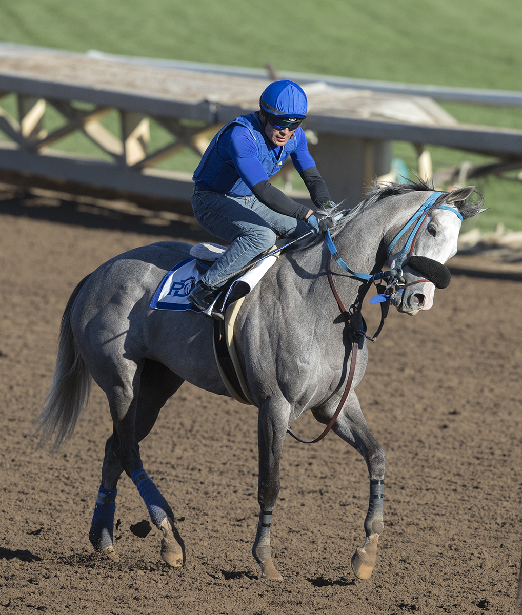 Enola Gray at Santa Anita in March 2017