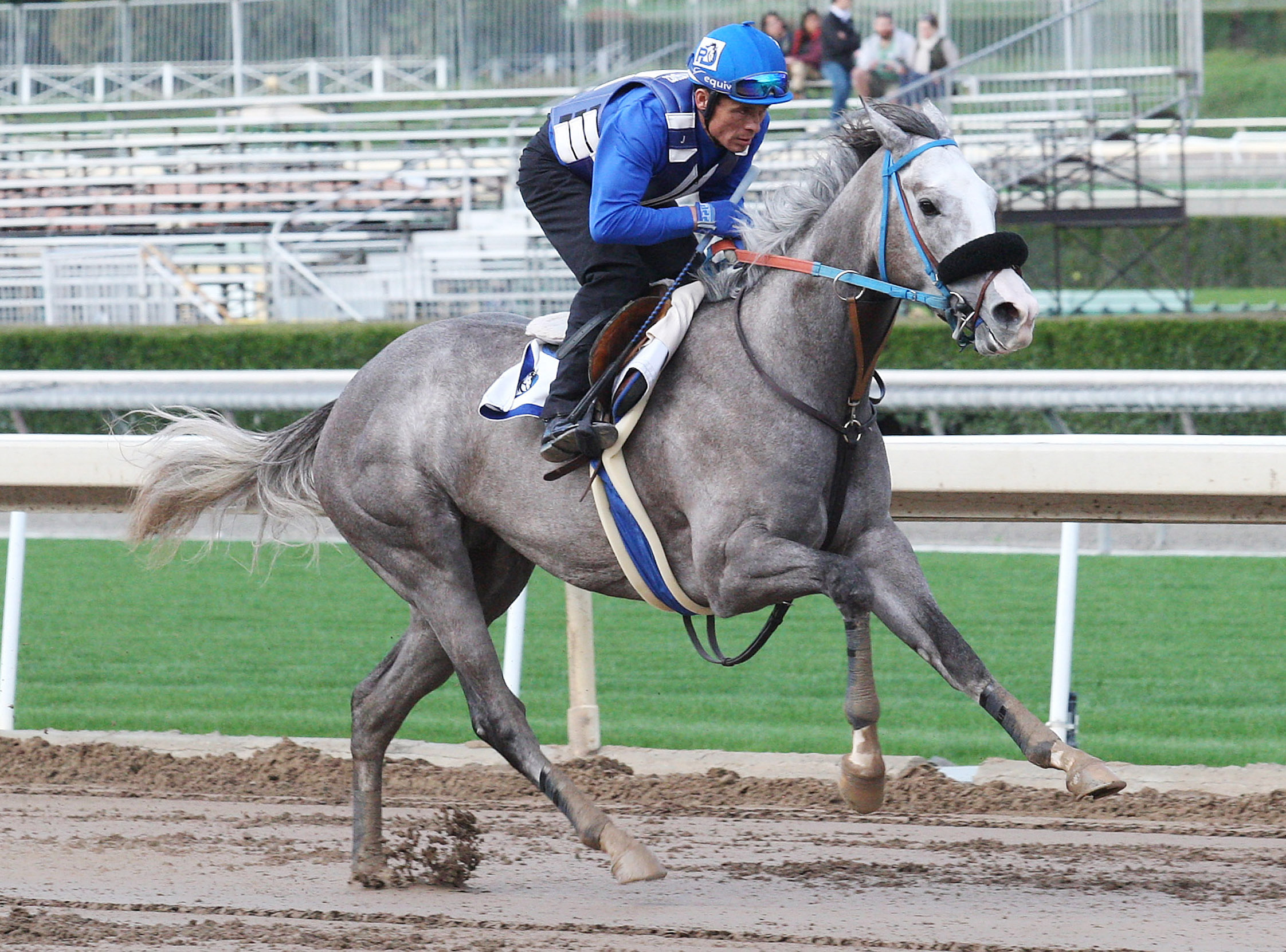 Enola Gray trains at Santa Anita on Jan. 21