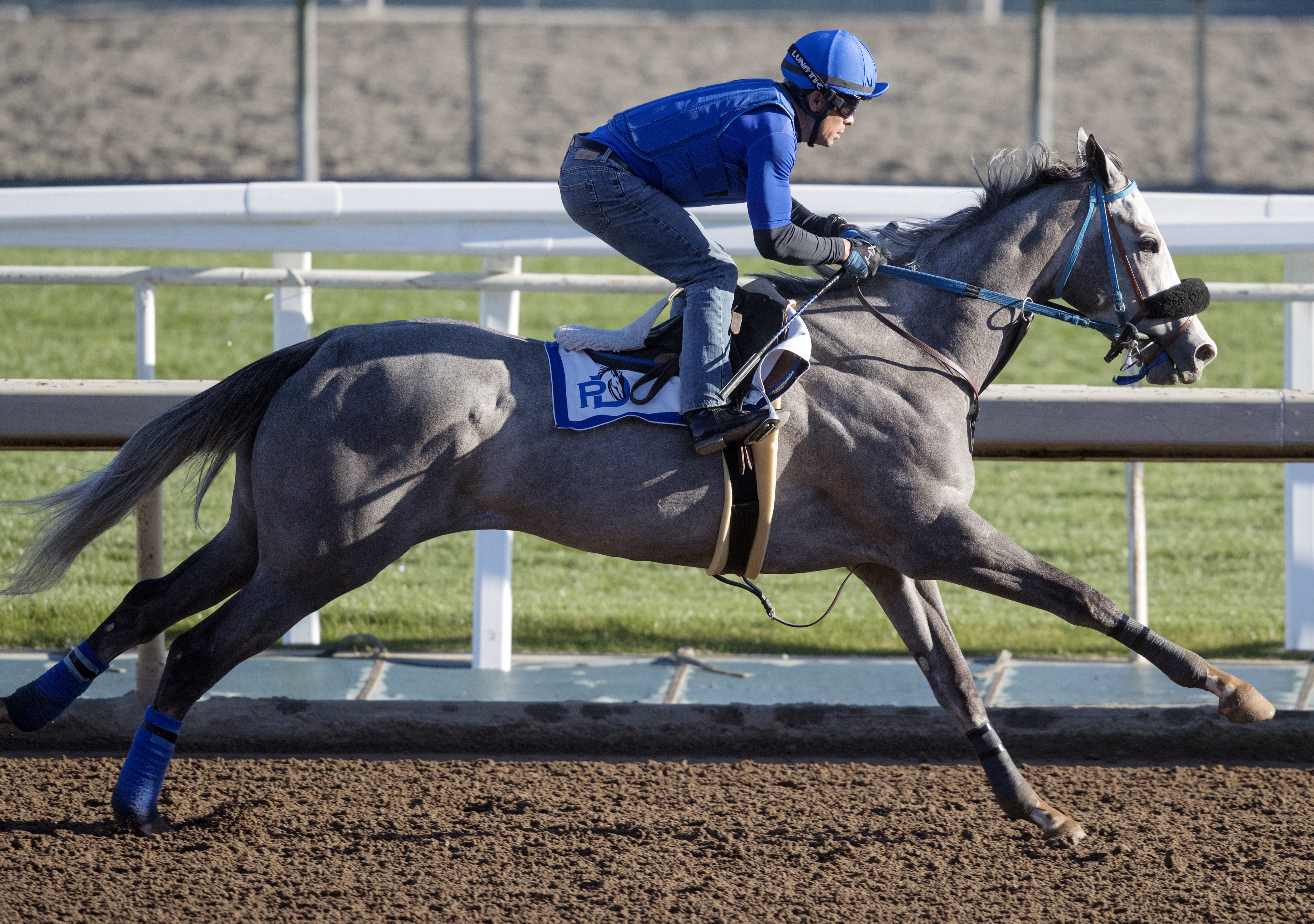Enola Gray trains at Santa Anita on March 7