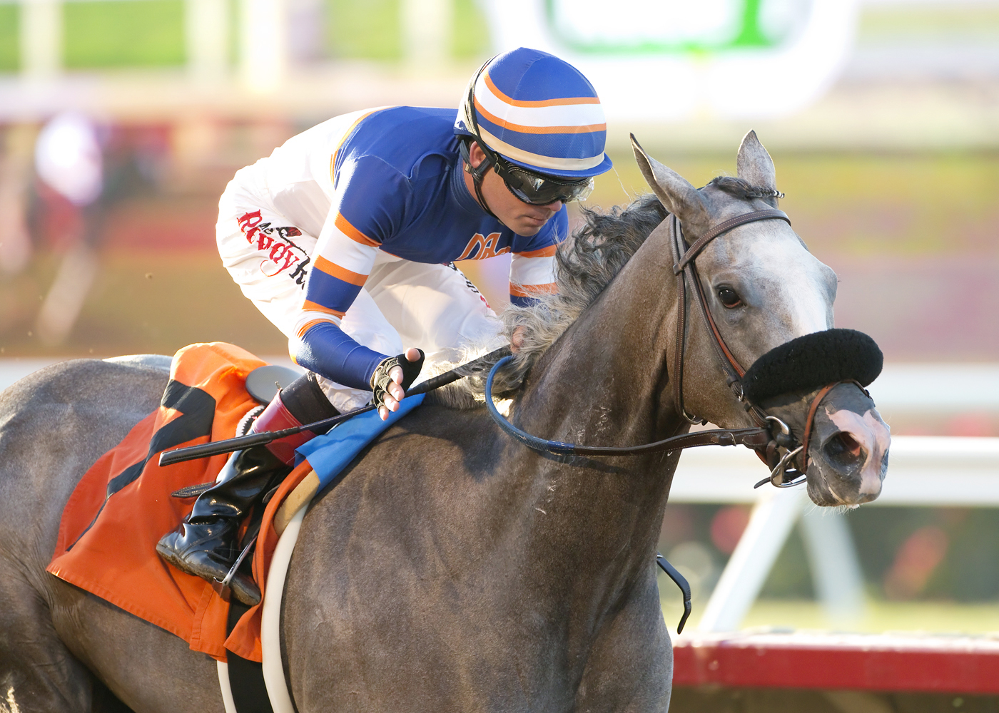 Enola Gray wins the Fleet Treat Stakes