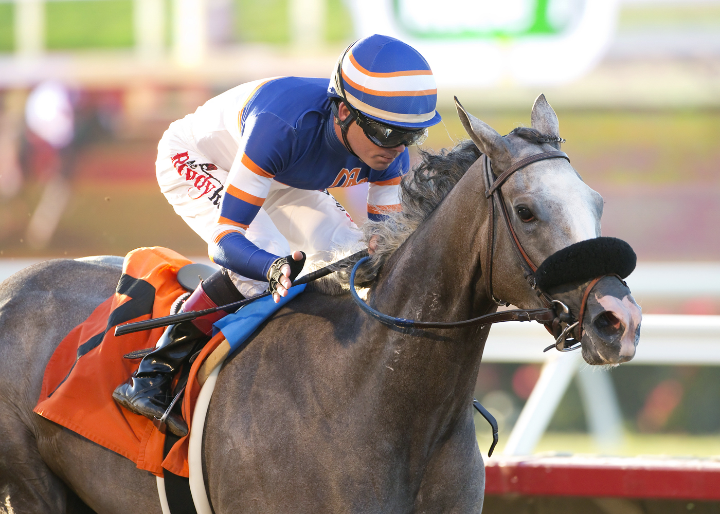 Enola Gray wins the Fleet Treat Stakes