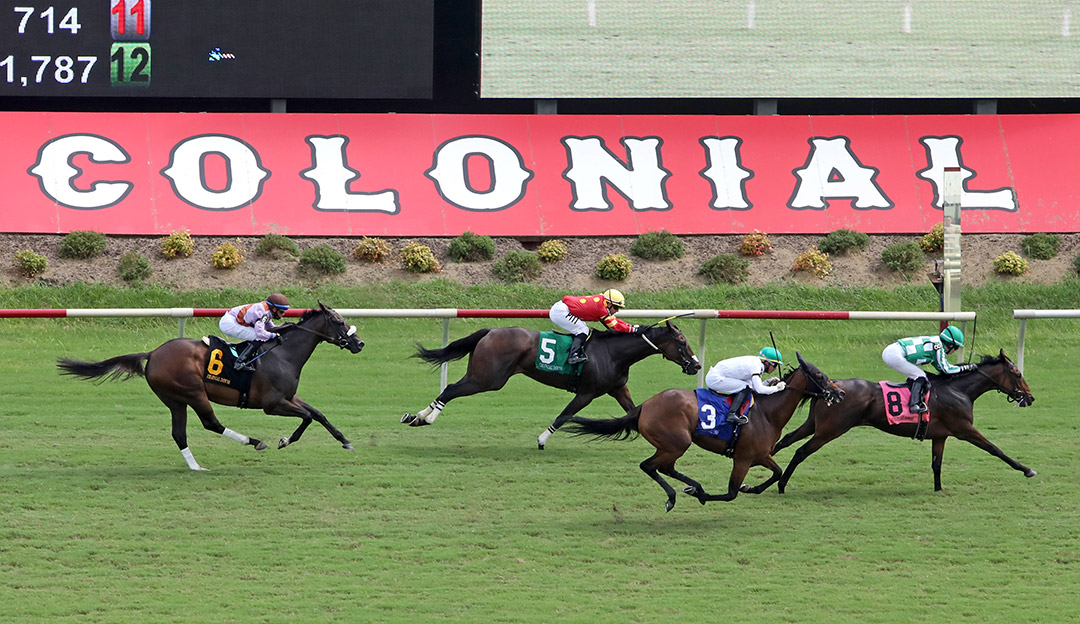 Turf racing at Colonial Downs, August 2021