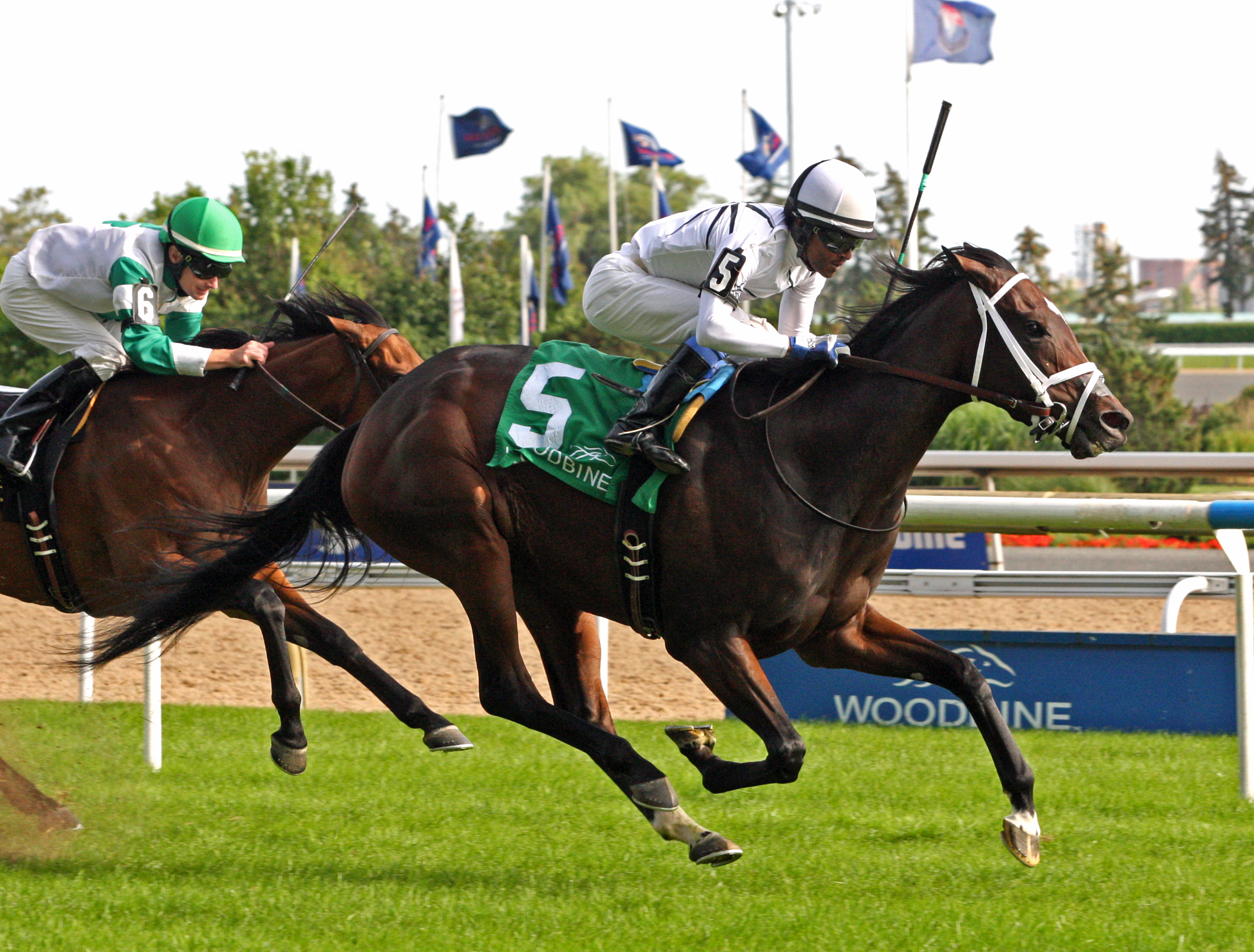Enstone wins the Ontario Colleen Stakes at Woodbine 8.27.17
