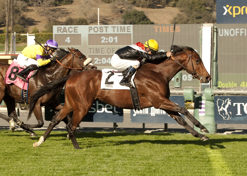 Enterprising 12-28-2013