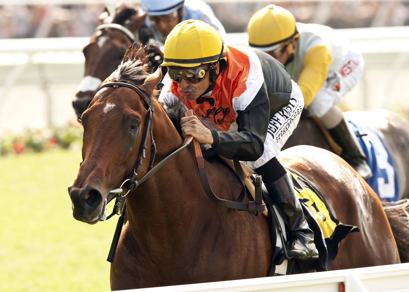 Enterprising wins 2014 La Jolla